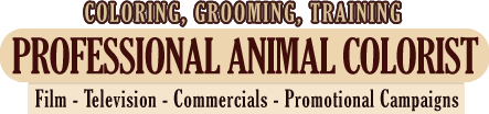 Coloring, Grooming, Training - Professional Animal Colorist - Film, Television, Commercials, Promotional Campaigns