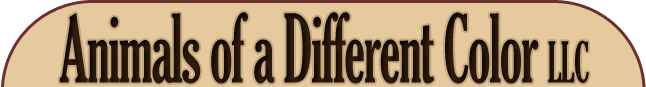 Animals of a Different Color LLC